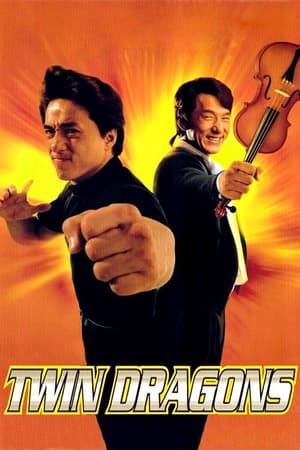 Twin Dragons 1992 [Hindi] Dual Audio 300MB